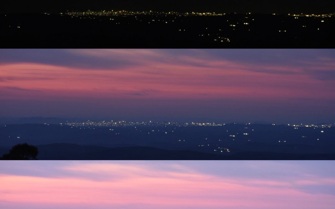 Title: Leadership: The Art of Seeing and Perceiving Reality