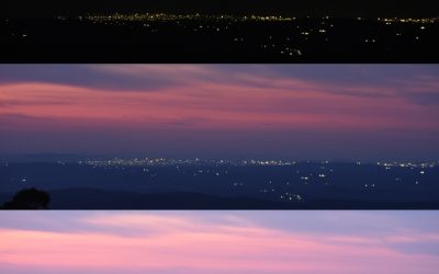 Title: Leadership: The Art of Seeing and Perceiving Reality